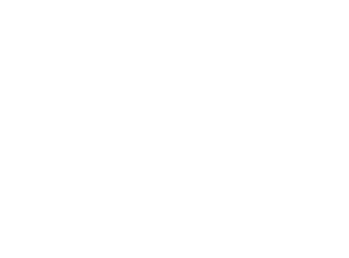 ches logo